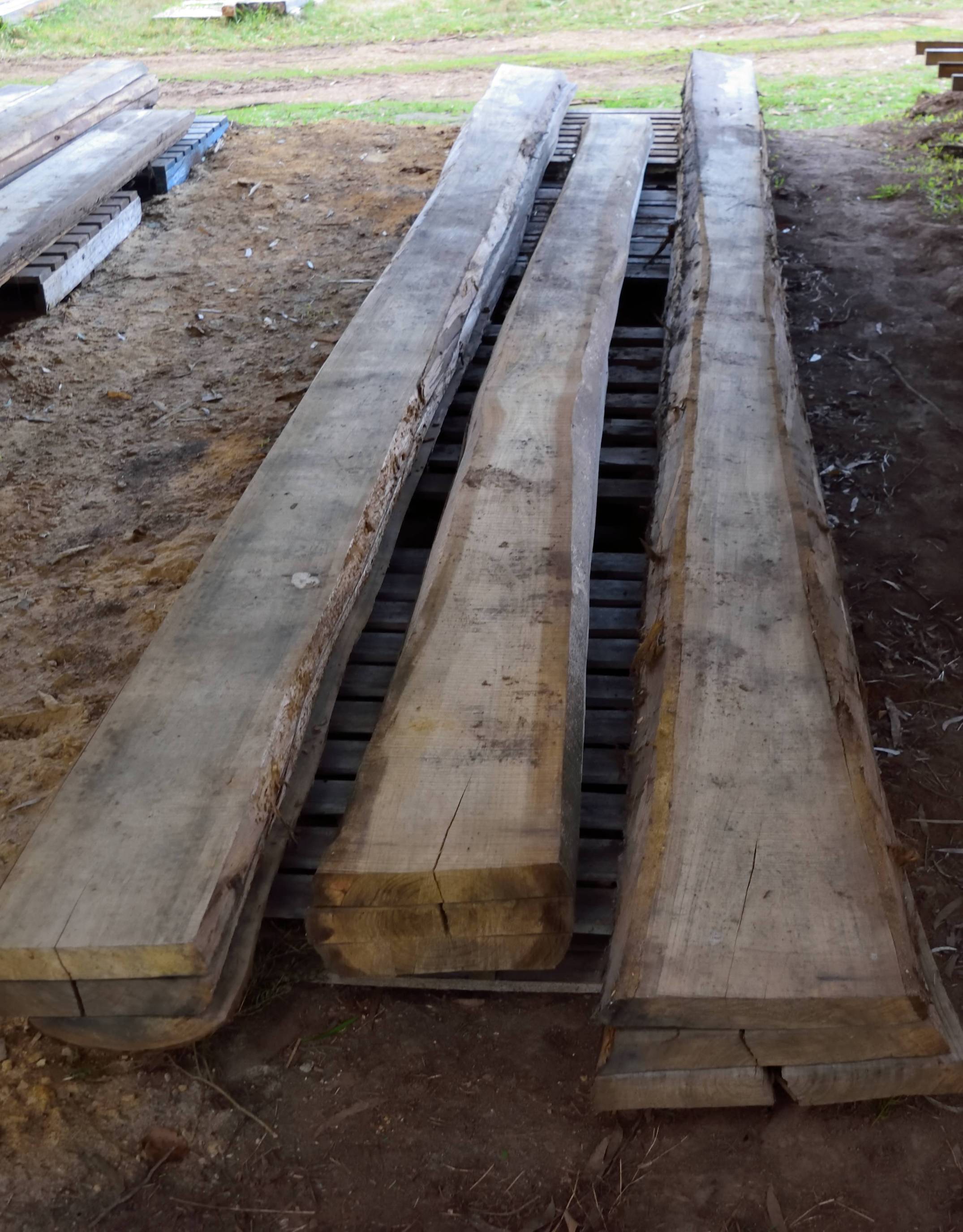 6m Shining Gum Slabs